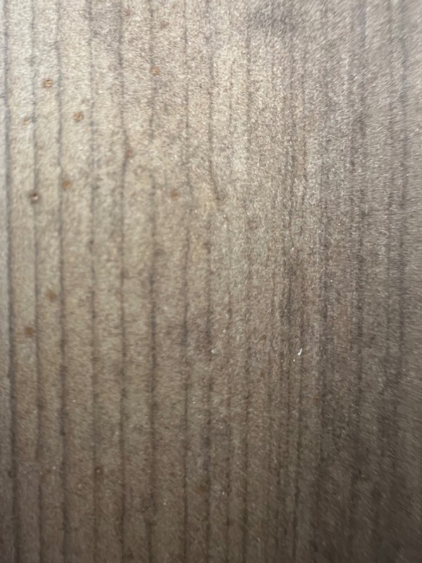 IMG_0502.jpeg