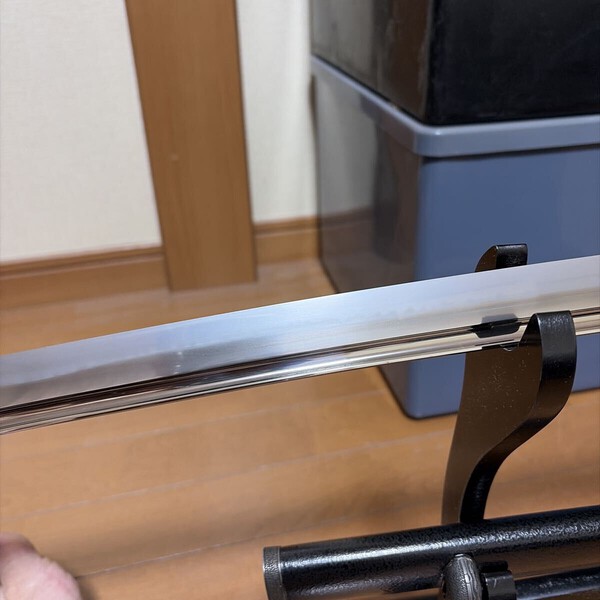 IMG_8852.jpeg